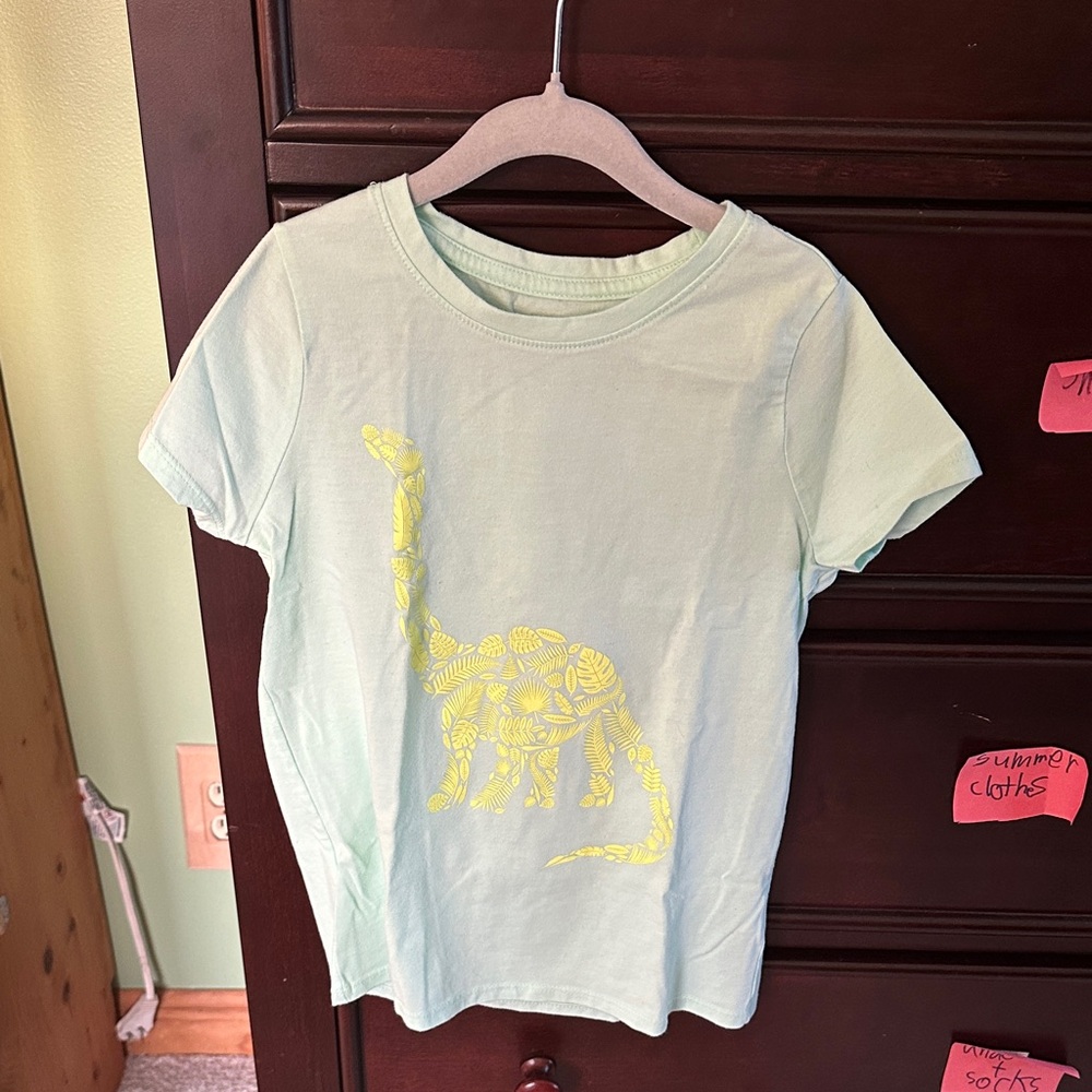 Cat & Jack Light Green Dinosaur Tee